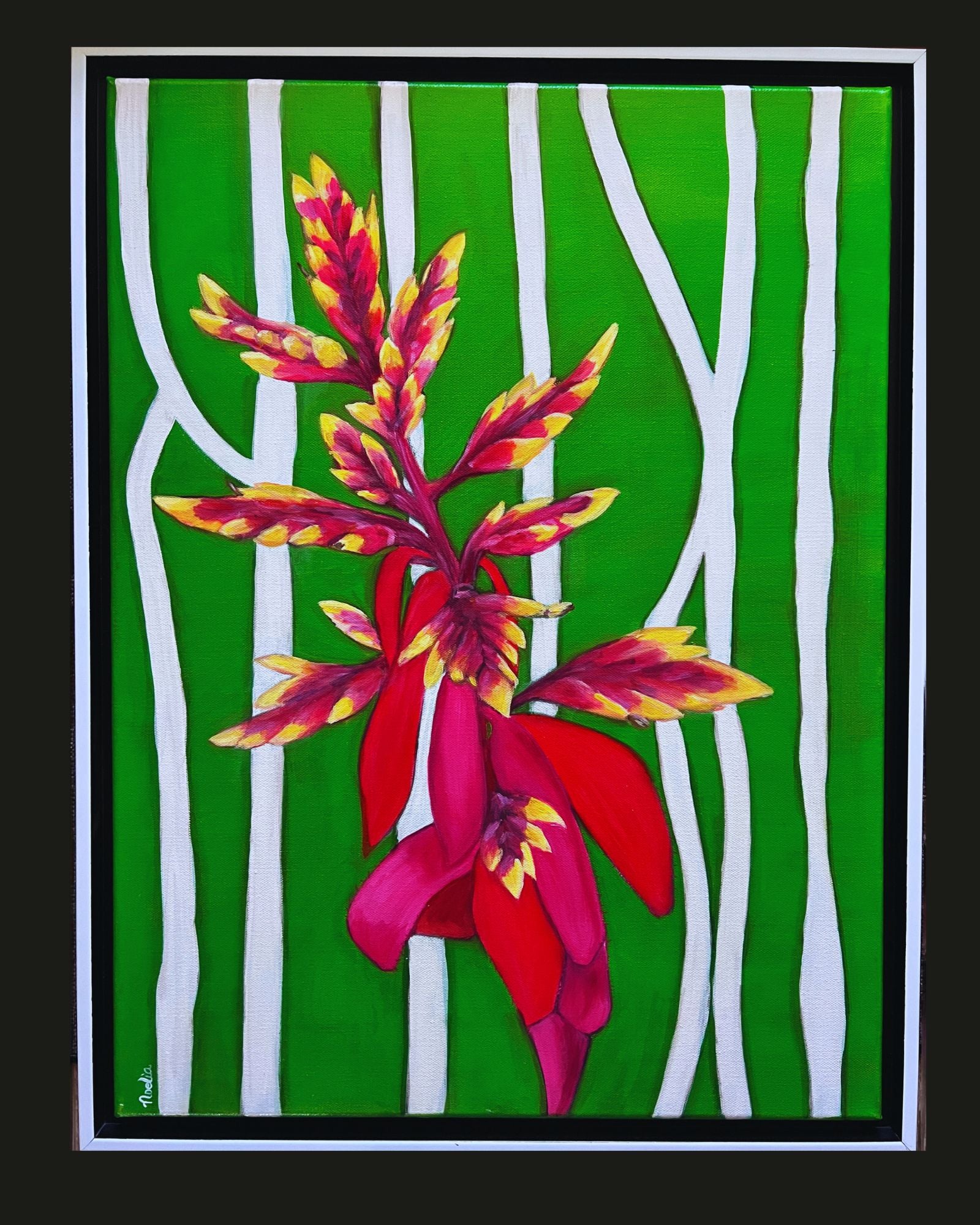 Red Bromeliad with Green and White background oil painting in white frame. tropical flower art by noelia montaner