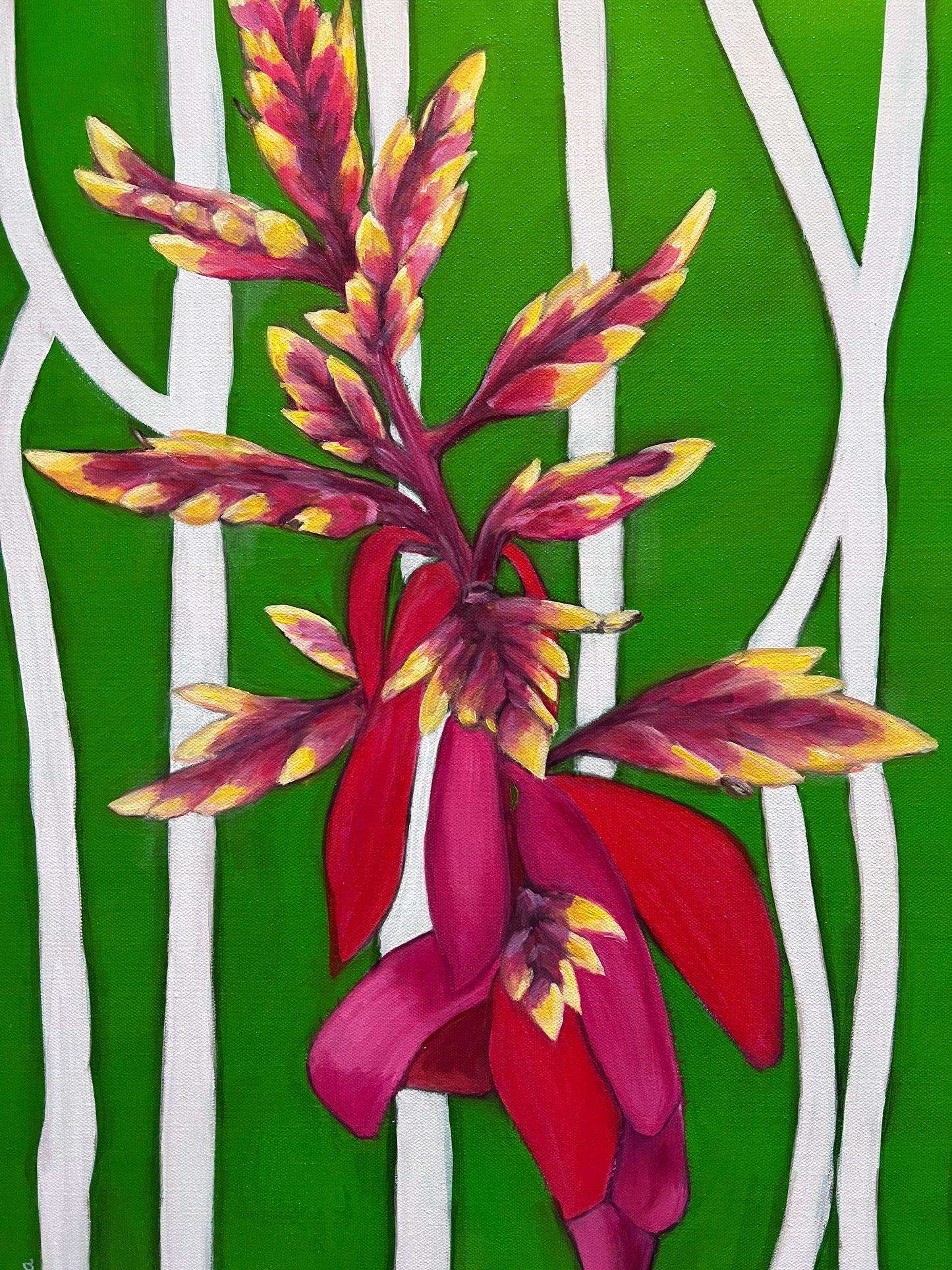 Red Bromeliad with Green Background Artwork